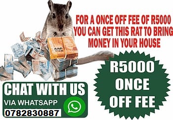 {{☎}}+27782830887 Money  Magic Ring Wallet And Rats In Grootfontein Estate In The City Of Pretoria Gauteng And Cape Town South Africa