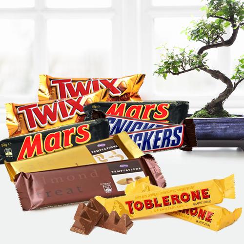 Buy lovely Gifts Online at Low Cost for any occasion and get Same Day Delivery in Lucknow