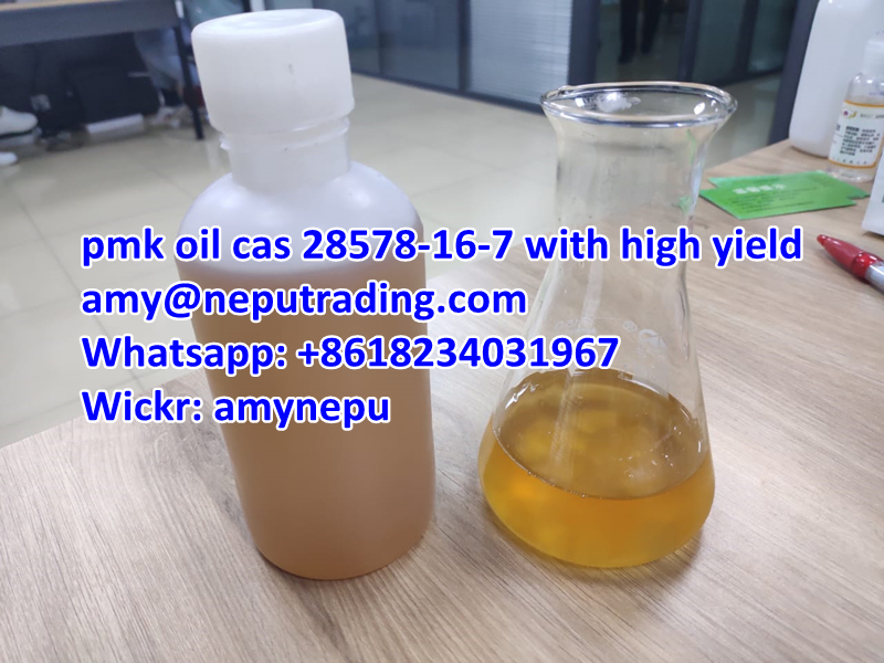 pmk oil cas 28578-16-7 100% delivery