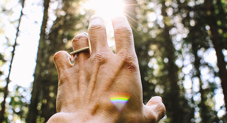 Oracle card reading course  – Inner wisdom Light (9899038558)