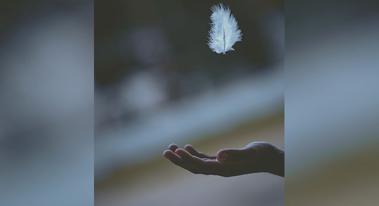 Best reiki grandmaster in Delhi – Inner wisdom Light (9899038558)