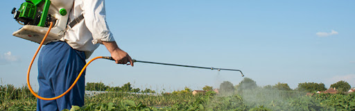 Pest Control Services in Madurai
