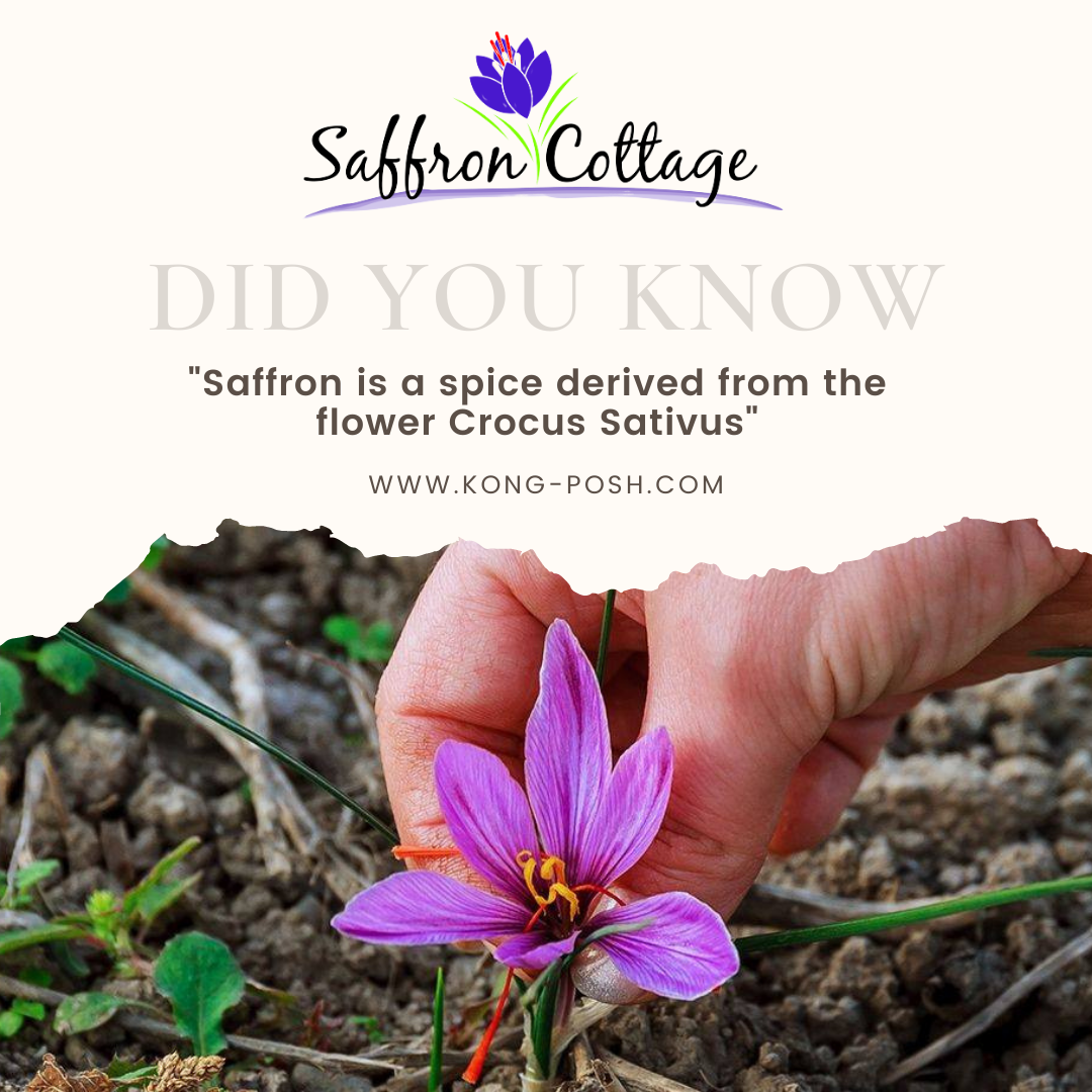 Facts about Saffron
