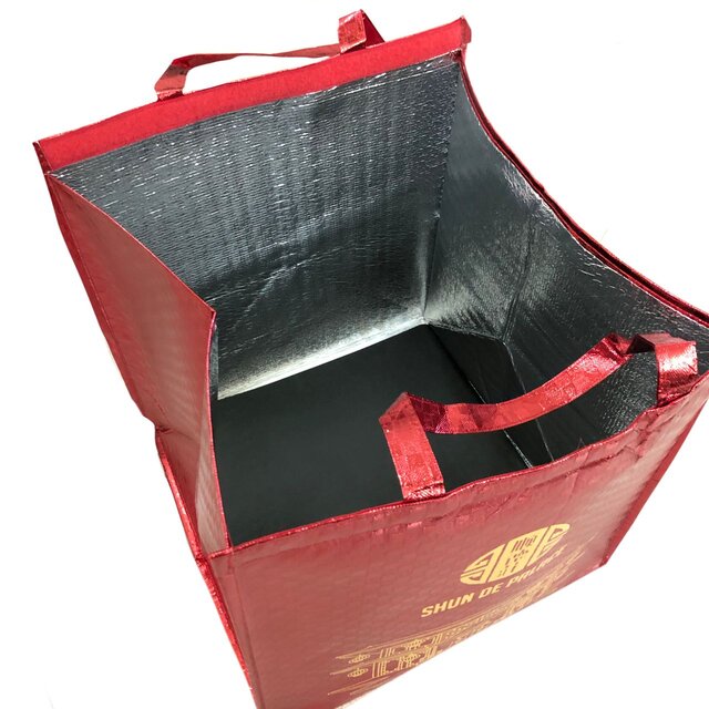 Large Insulated Lunch Bag