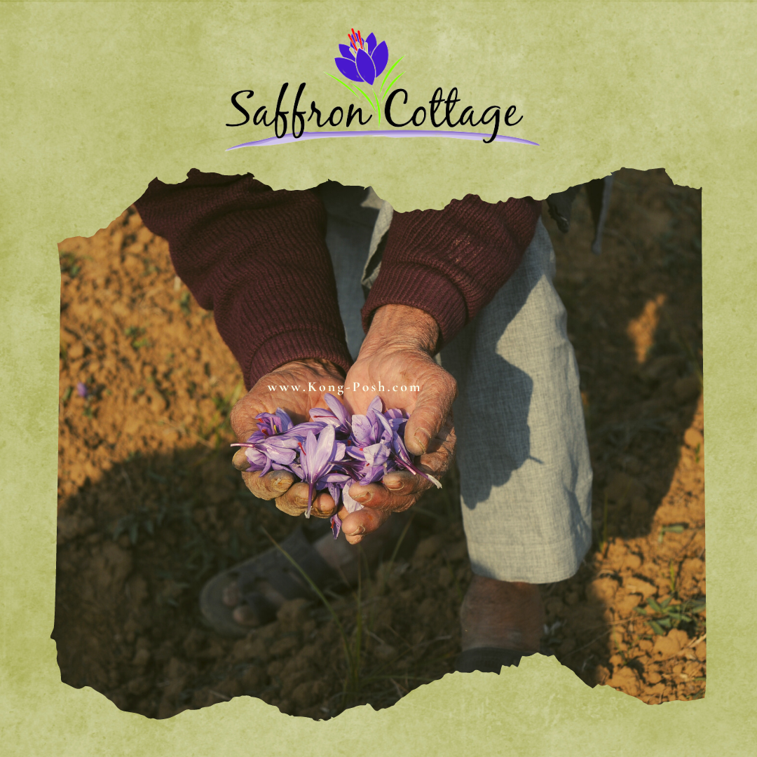 New year and Christmas sale