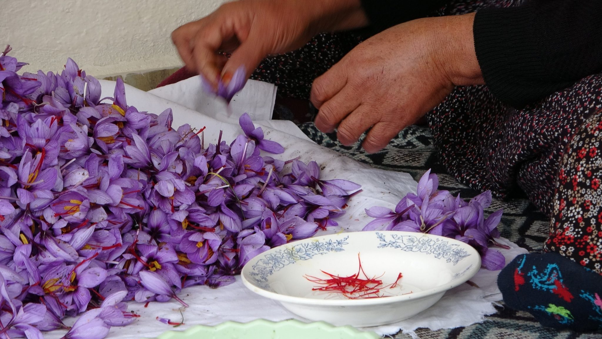 Is saffron beneficial in the fight against the coronavirus?