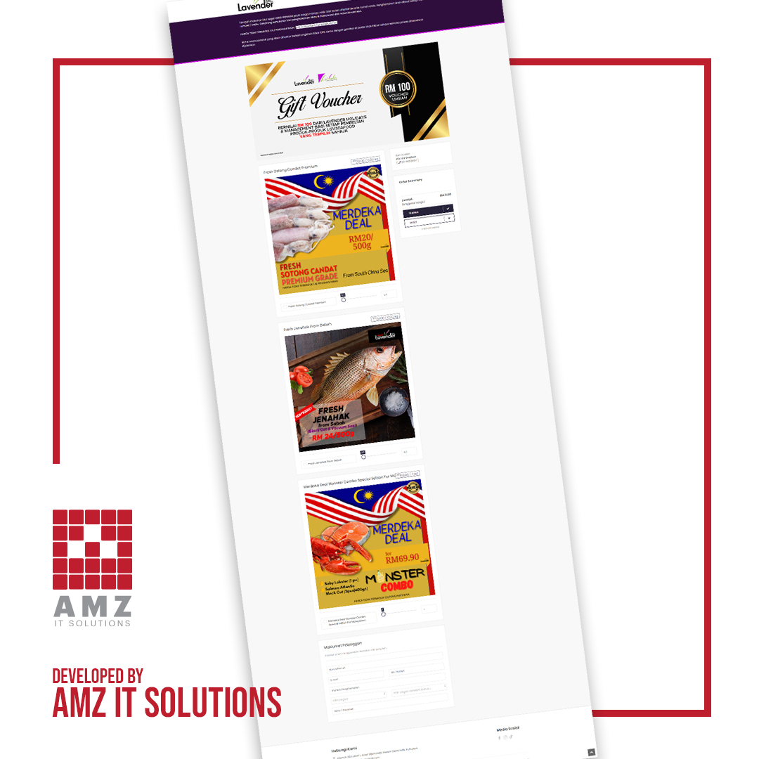 Professional Website Design and Development