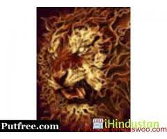 SPIRITUAL HEALER AND FORTUNE TELLER +27720748505